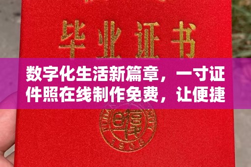 丽水数字化生活新篇章，一寸证件照在线制作免费，让便捷触手可及