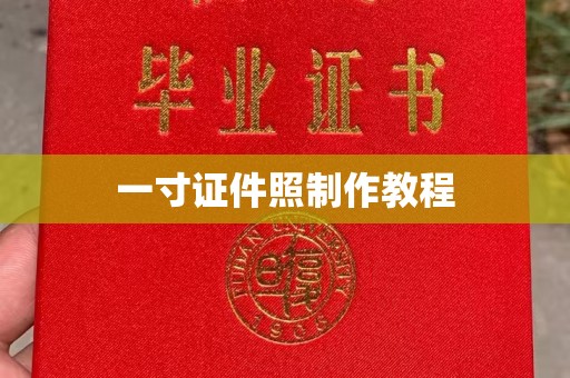 丽水一寸证件照制作教程