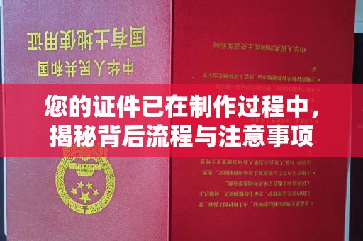 丽水您的证件已在制作过程中，揭秘背后流程与注意事项