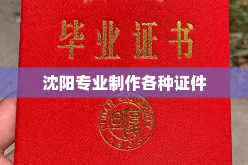 丽水沈阳专业制作各种证件