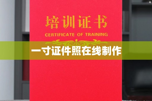 丽水一寸证件照在线制作