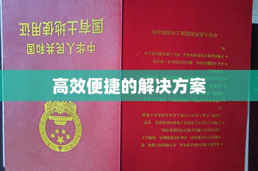 丽水高效便捷的解决方案