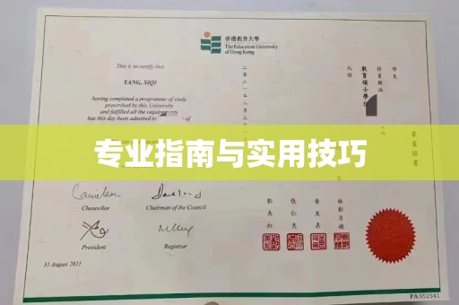 丽水专业指南与实用技巧